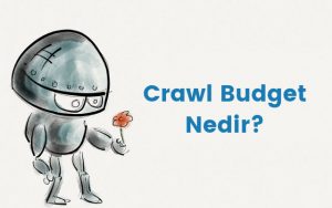 Tarama Bütçesi (Crawl Budget) Nedir?